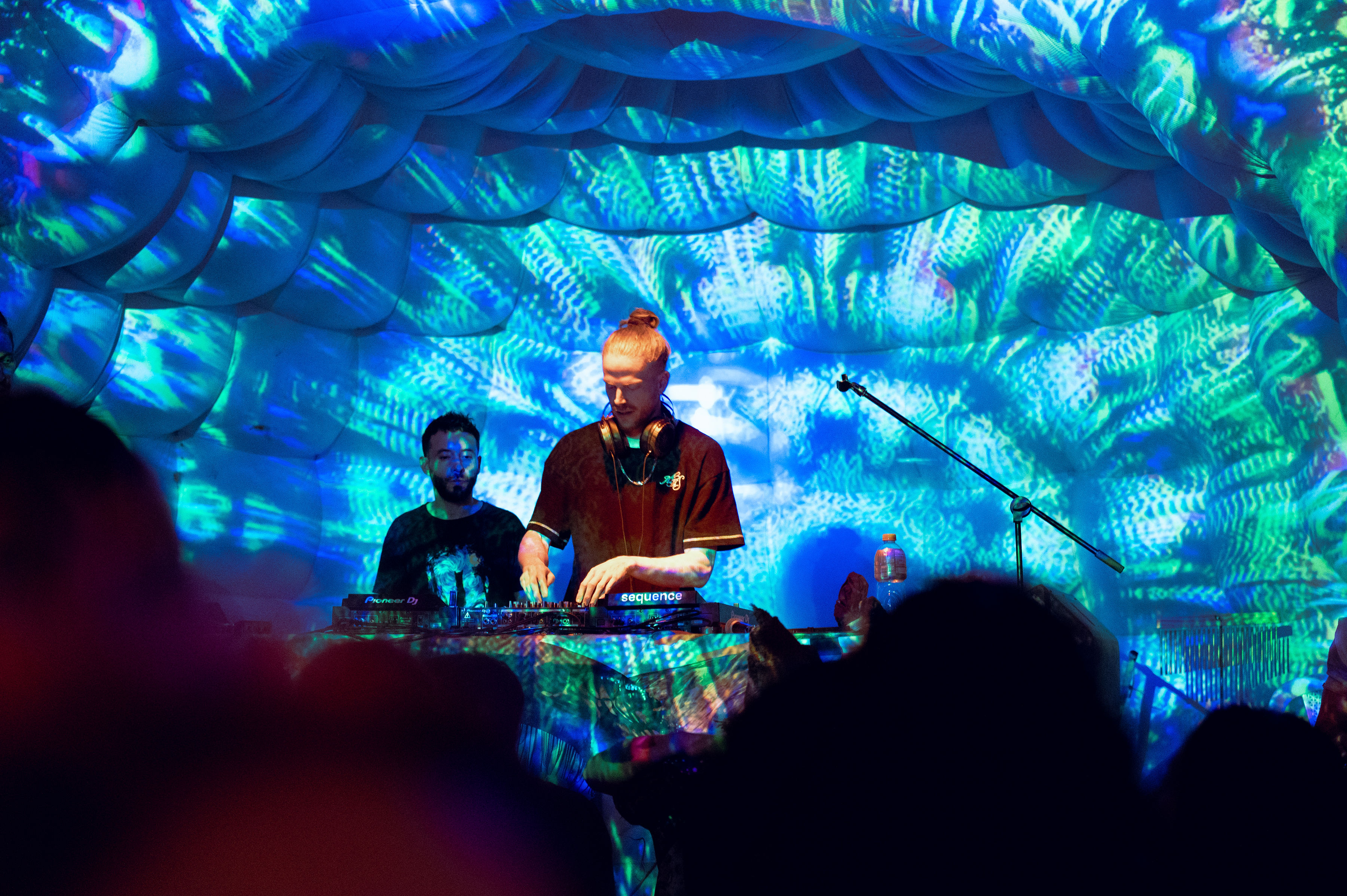 Niko Bo performing live